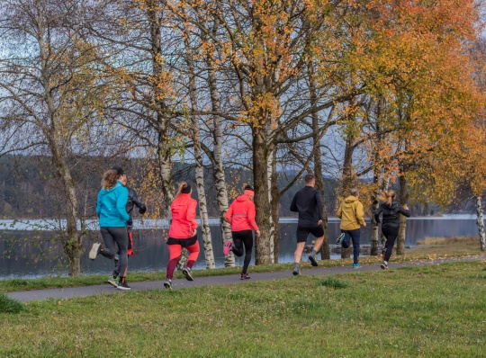 STATUS FIT CAMP LIPNO